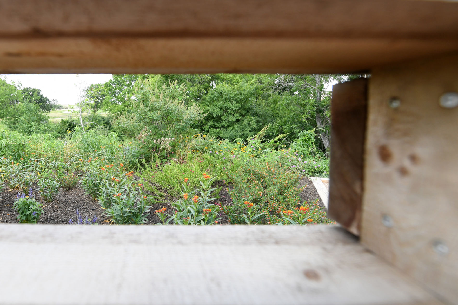 Leach Teaching Gardens